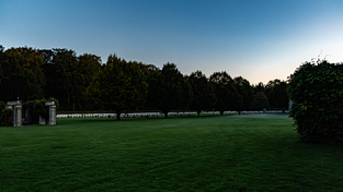 Reichswald at dusk