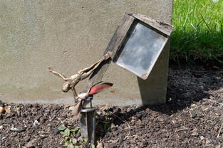 Grave of Flying Officer Ludwik Paszkiewicz DFC RAF, Northwood Cemetery, Hillingdon
