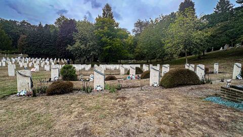 The Falklands graves